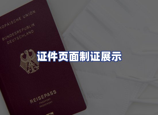 证件页面制证展示